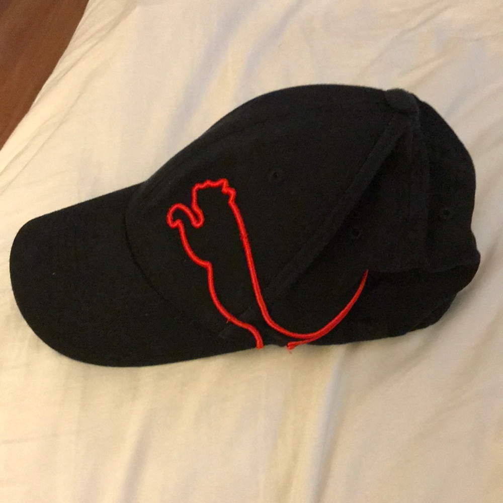 Puma Fitted Hat- One Size Fits All